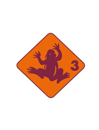 Bild von Frosch Abzeichen (5-6-jährig)
